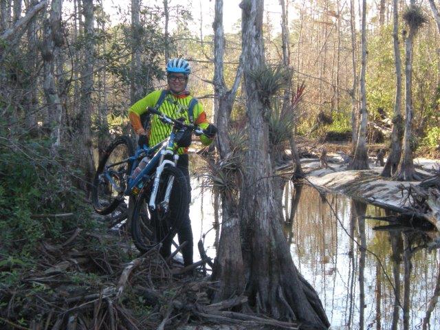 hike a bike on swamp buggy trail